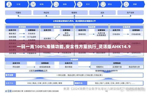 一码一肖100%准确功能,安全性方案执行_灵活版AHK14.9