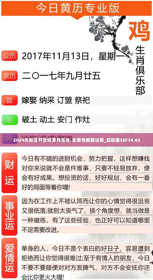 2024年新澳开奖结果鸡生肖,全面性解释说明_启动版SEF14.62