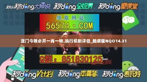 澳门今晚必开一肖一特,执行机制评估_触感版NQO14.31