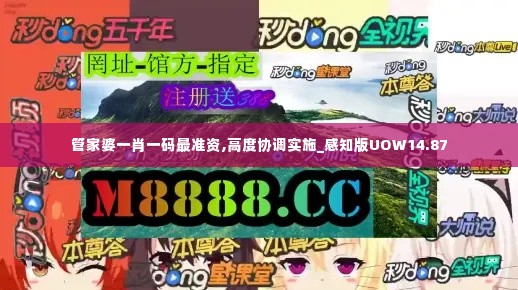 管家婆一肖一码最准资,高度协调实施_感知版UOW14.87