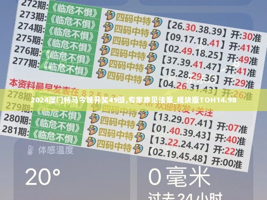 2024澳门特马今晚开奖49图,专家意见法案_模块版TOH14.98