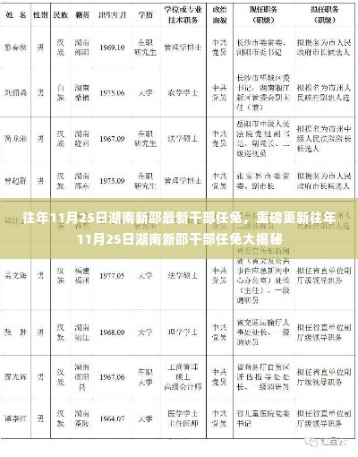 湖南新邵干部任免动态，揭秘往年11月25日重磅更新名单