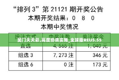 奥门天天彩,高度协调实施_全球版REU5.55