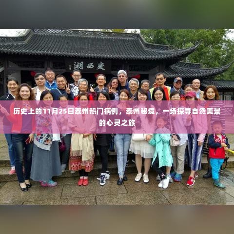 泰州秘境探寻之旅，历史上的热门病例与自然美景的心灵之旅（11月25日）