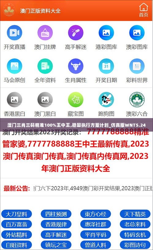 澳门三肖三码精准100%王中王,稳固执行方案计划_仿真版WNT5.24