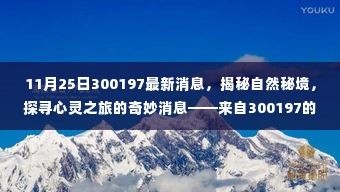 揭秘自然秘境，探寻心灵之旅的奇妙消息——来自神秘代码300197的呼唤