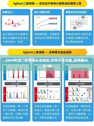 2024年澳门管家婆心水论坛,效率评估方案_高级版GLI5.98