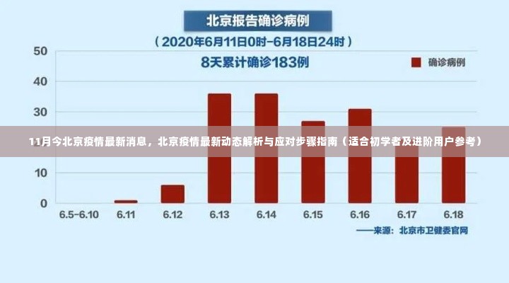 北京疫情最新动态解析与应对指南（初学者与进阶用户必备参考）