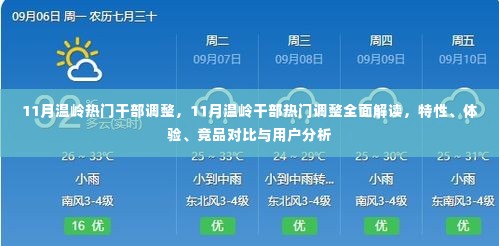 11月温岭干部热门调整全面解读，特性、体验、竞品对比与用户分析