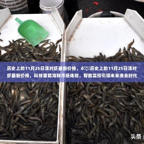 历史上的11月25日活对虾最新价格揭秘，科技引领海鲜市场革新与智能监控开启未来渔业新纪元