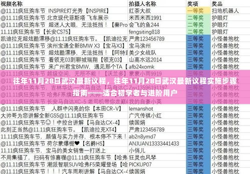 往年11月28日武汉最新议程，往年11月28日武汉最新议程实施步骤指南——适合初学者与进阶用户