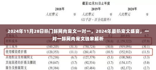 2024年11月28日热门鲜网肉宠文一对一，2024年最热宠文盛宴，一对一鲜网肉宠文独家解析