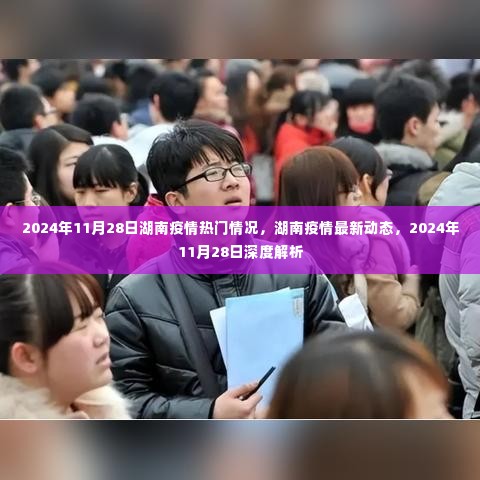 湖南疫情最新动态深度解析，2024年11月28日疫情热门情况分析