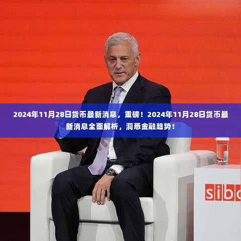 2024年11月28日货币最新动态解析，洞悉金融趋势的重大消息