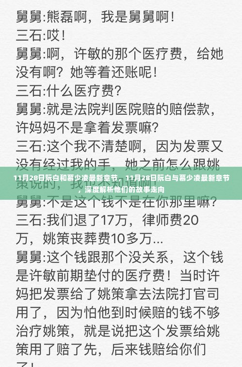 深度解析阮白与慕少凌故事走向，最新章节揭秘于11月28日