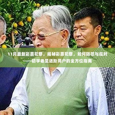 揭秘彩票犯罪真相，全方位指南助你防范与应对（从初学者到进阶用户）