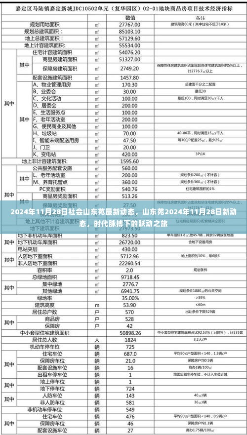 山东苑最新动态，时代脉搏下的跃动之旅（2024年11月28日）