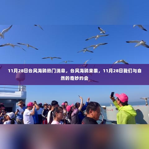 台风海鸥来袭，与自然的奇妙约会揭秘热门消息 11月28日动态