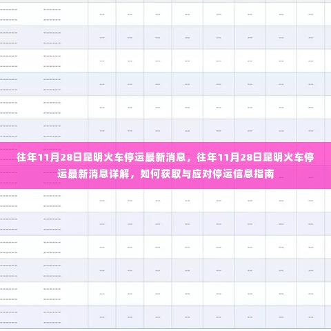往年11月28日昆明火车停运最新消息详解及应对指南