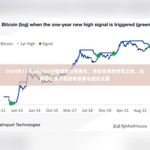 驾驭未来财富之旅，比特币行情下的励志故事与成长之路——比特币最新价格美元走势分析（2024年11月28日）