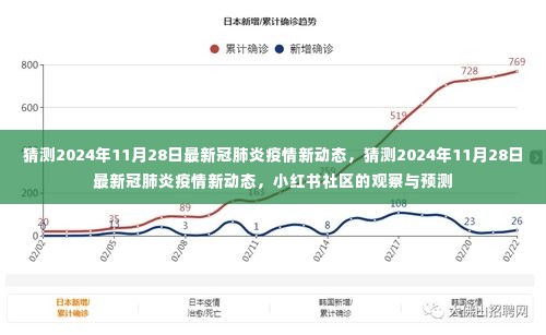 小红书社区预测，2024年11月28日新冠肺炎疫情最新动态猜测