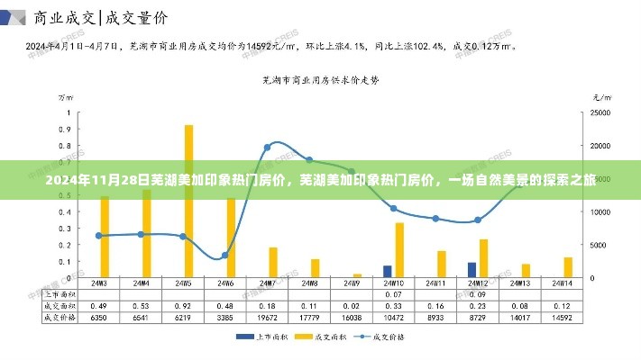 芜湖美加印象热门房价，自然美景的探索之旅（2024年11月28日）