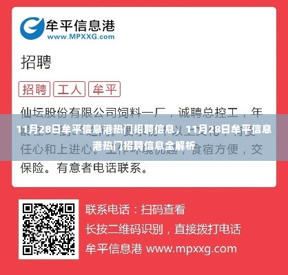 11月28日牟平信息港热门招聘信息详解