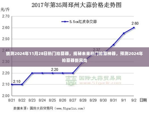 揭秘未来拍蒜新风尚，预测热门拍蒜神器，引领潮流趋势至2024年！