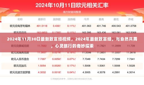 2024年最新致富经，与自然共舞的心灵旅行探索