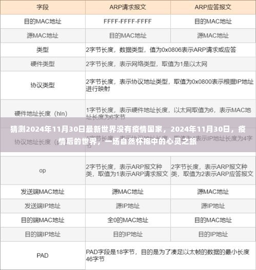 疫情后的心灵之旅，探索没有疫情的全新世界（2024年11月30日）