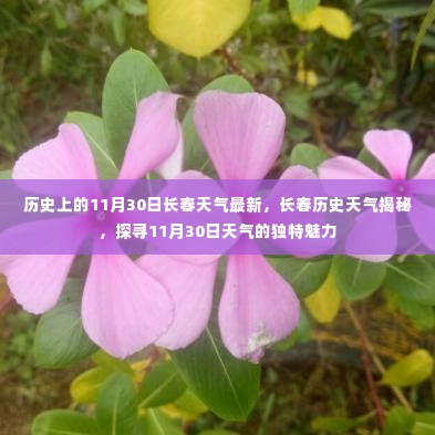 揭秘长春历史天气，探寻11月30日的独特魅力与天气变迁