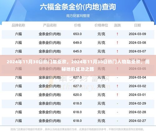 揭秘赵亚欣的成功之路，2024年11月30日的热门人物风采