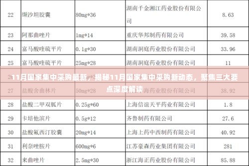 揭秘11月国家集中采购新动态，聚焦三大要点深度解读报告出炉