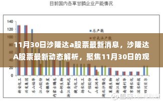 沙隆达A股票最新动态解析及观点碰撞，11月30日的最新消息与个人立场聚焦