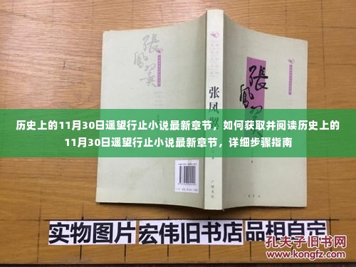 历史上的11月30日遥望行止小说最新章节获取与阅读指南