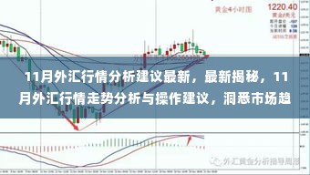 揭秘最新行情，深度解析11月外汇走势与操作建议，洞悉市场趋势！