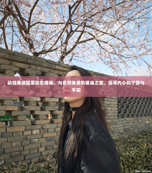 融钰集团股票动态深度解析，邂逅自然美景，探寻内心宁静与平和的旅程