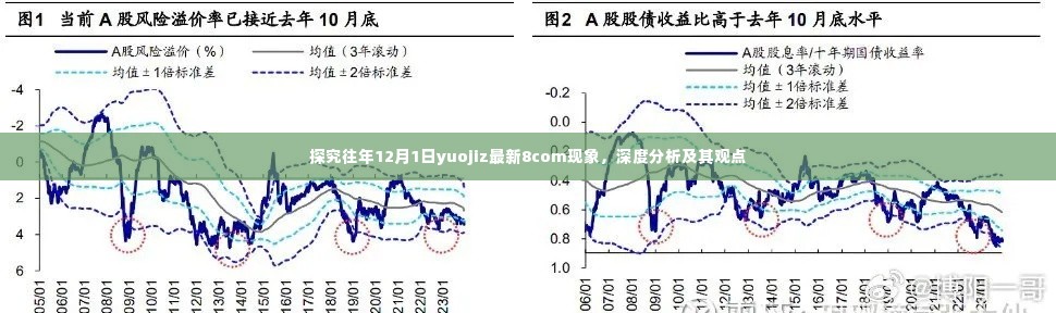 深度探究，历年12月1日yuojiz最新现象8com及其观点分析