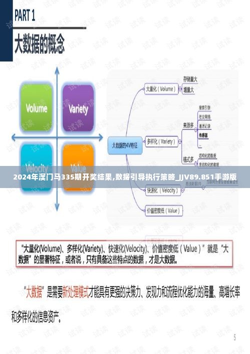 2024年澳门马335期开奖结果,数据引导执行策略_JJV89.851手游版