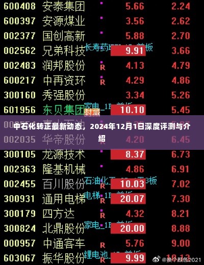 中石化转正最新动态深度解读，2024年展望与评测报告