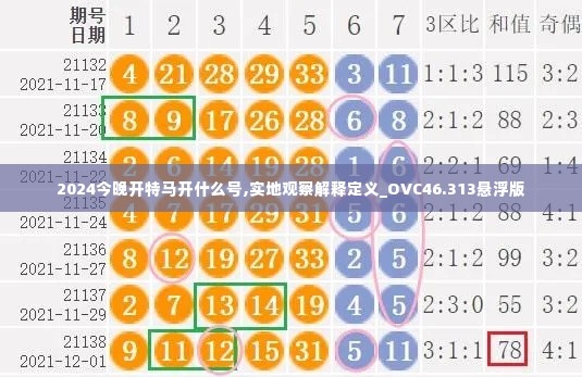 2024今晚开特马开什么号,实地观察解释定义_OVC46.313悬浮版