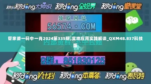 管家婆一码中一肖2024第335期,实地应用实践解读_QXM48.837科技版