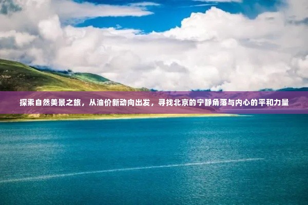 油价新动向下的自然探索之旅，寻找北京的宁静角落与内心平和力量