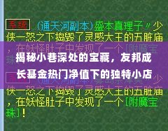 小巷宝藏揭秘，友邦成长基金背后的独特小店故事