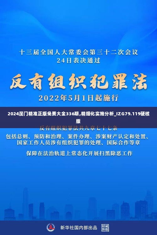 2024澳门精准正版免费大全336期,精细化实施分析_IZG79.119硬核版