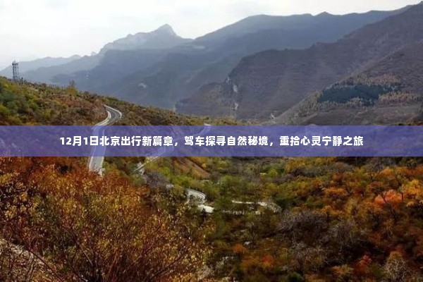 北京驾车探寻自然秘境之旅，心灵宁静之旅启程