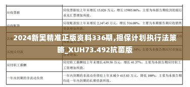 2024新奥精准正版资料336期,担保计划执行法策略_XUH73.492抗菌版