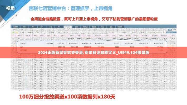 2024正版新奥管家婆香港,专家解说解释定义_UIE49.324限量版