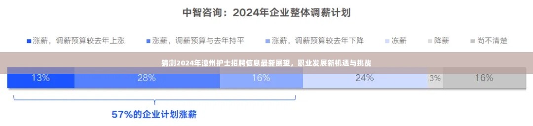 2024年漳州护士招聘展望，新机遇与挑战中的职业发展