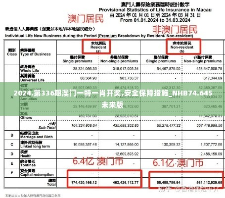 2024.第336期澳门一特一肖开奖,安全保障措施_NHB74.645未来版